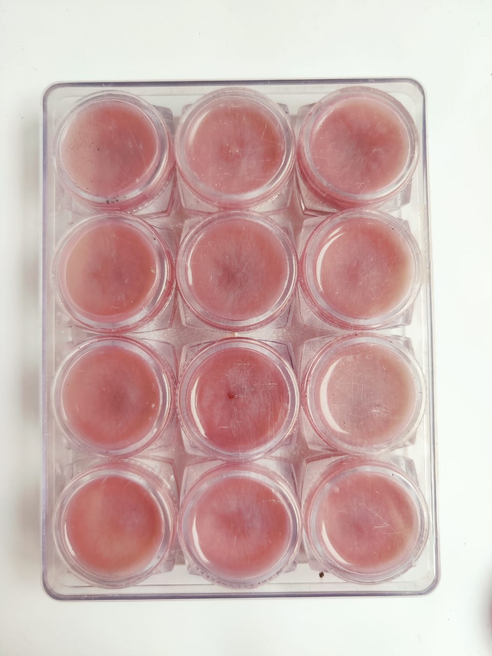 Zohan Herbal Lip Balm